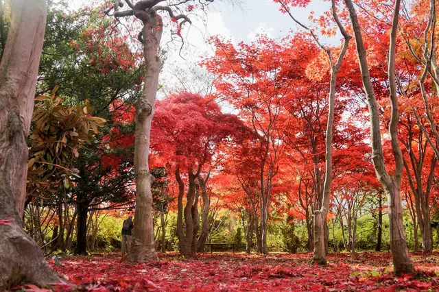 平岡樹芸センター