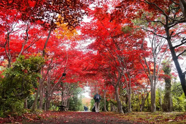 平岡樹芸センター