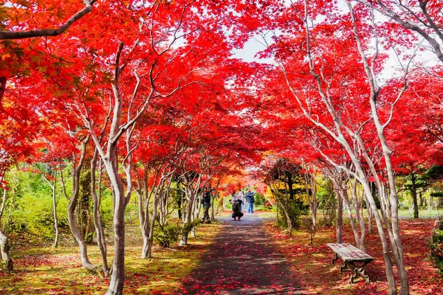 平岡樹芸センター