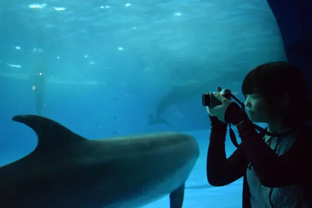 アクアワールド茨城県大洗水族館