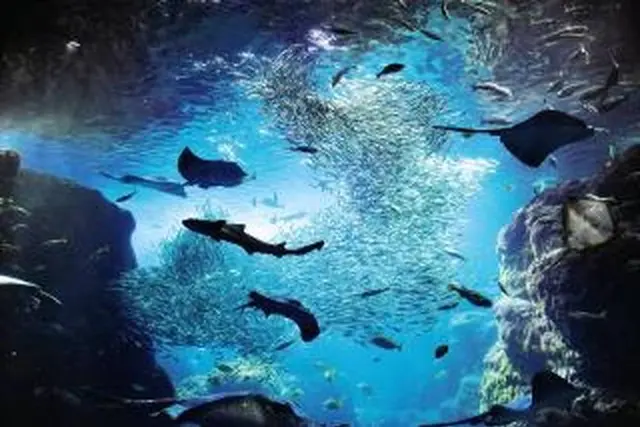 新江ノ島水族館