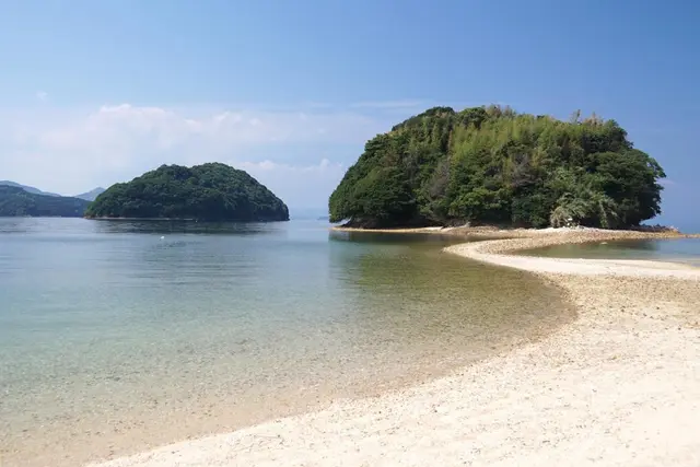 真宮島