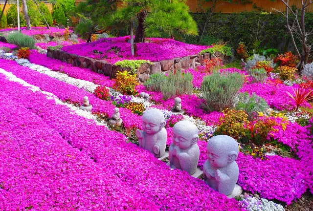 奈良県大和郡山市の四季折々の花木や芝桜約３５００株に囲まれた樹木葬がある明るい雰囲気のお寺