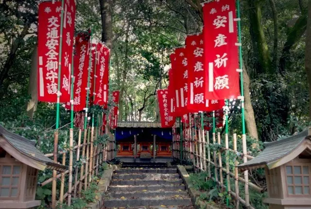 神鎮まる島、大三島で女神様を巡る旅。