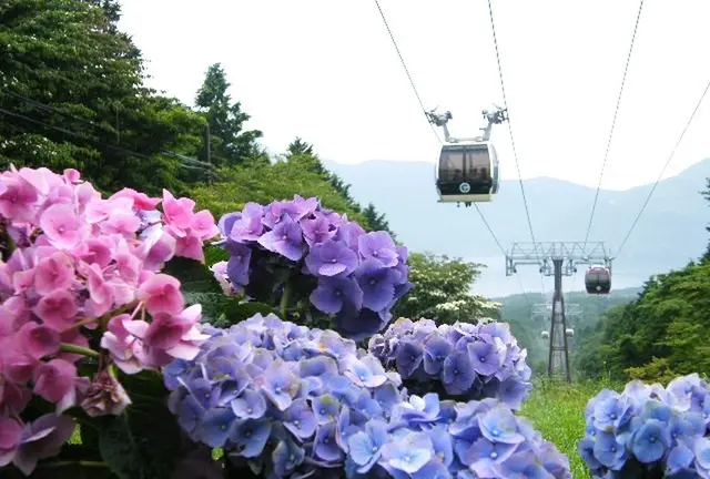 Nori's Birthday trip in ATAMI &  HAKONE 2018.