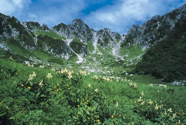 【７～８月】高山植物の宝庫中央アルプス千畳敷カール 標高2,612ｍへロープウェイで誰でも行ける絶景