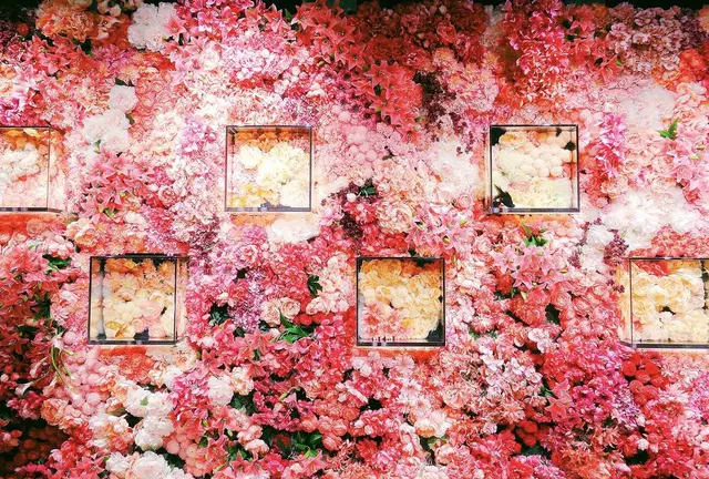 奈良にもあった！超インスタ映えSPOT発見！カップルにオススメのおしゃれSPOT