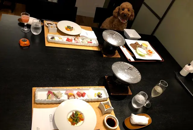 【鹿児島・霧島】愛犬と一緒旅♪