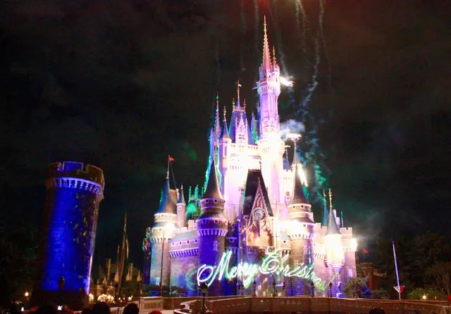 東京ディズニーランド