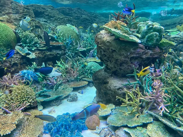 名古屋港水族館