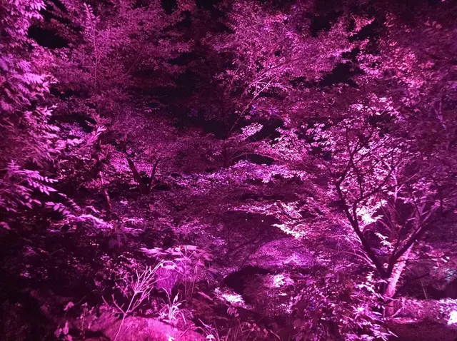 御船山楽園
