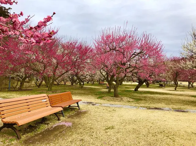 偕楽園