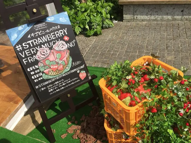 代官山 蔦屋書店(TSUTAYA)