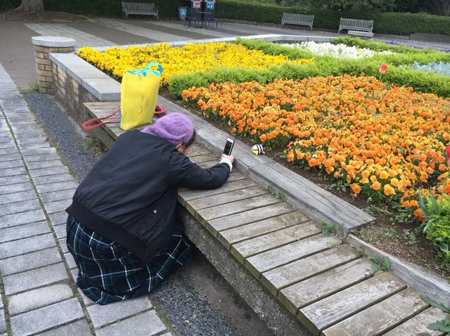 国営ひたち海浜公園