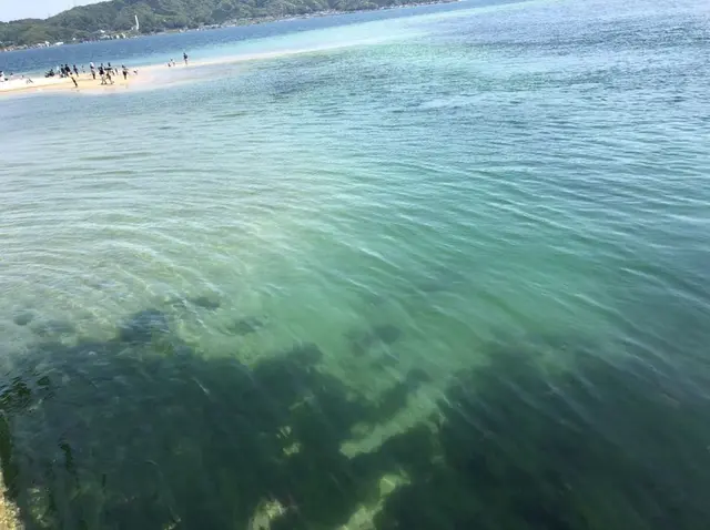 日本三景碑 天橋立