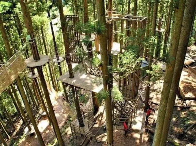 フォレストアドベンチャー・糸島