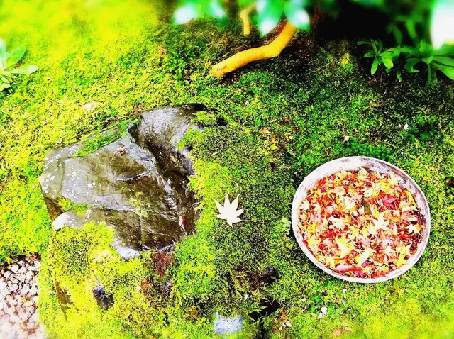 瑠璃光院
