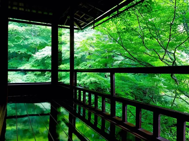 瑠璃光院