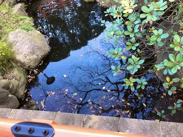 千葉神社