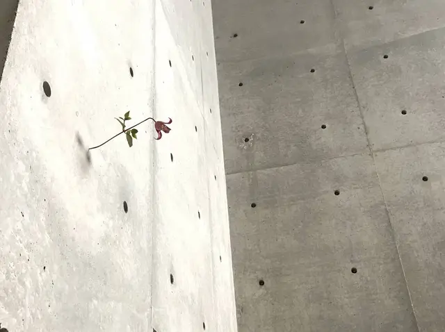 ヴァンジ彫刻庭園美術館