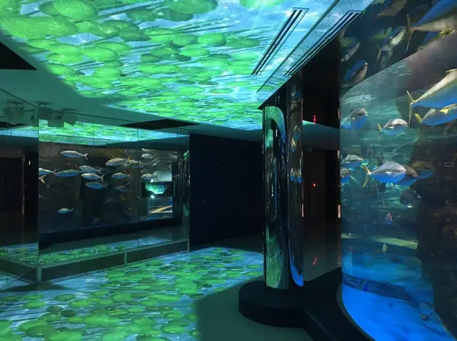 のとじま水族館　