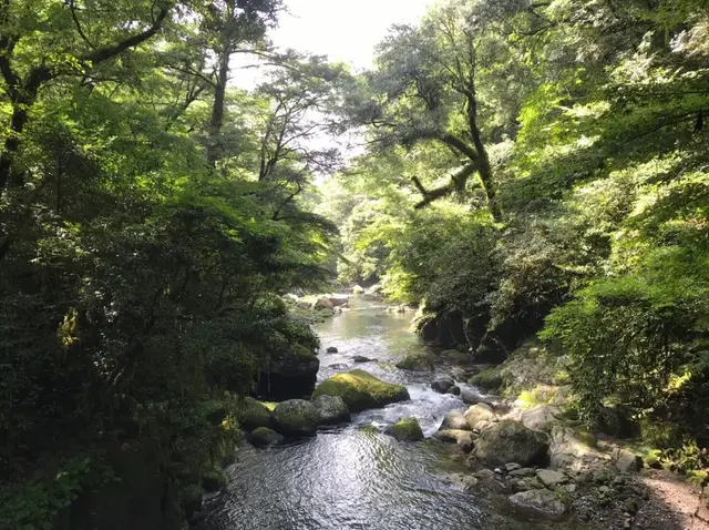 菊池渓谷