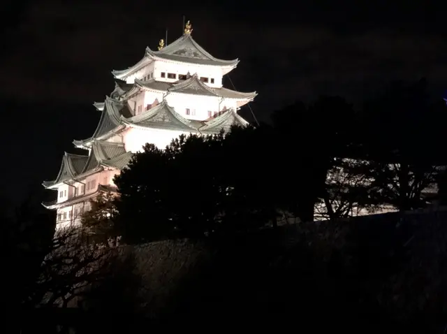 鳥開総本家