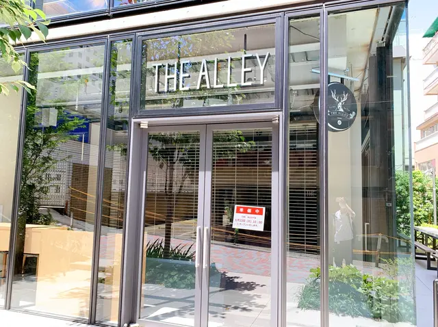 THE ALLEY