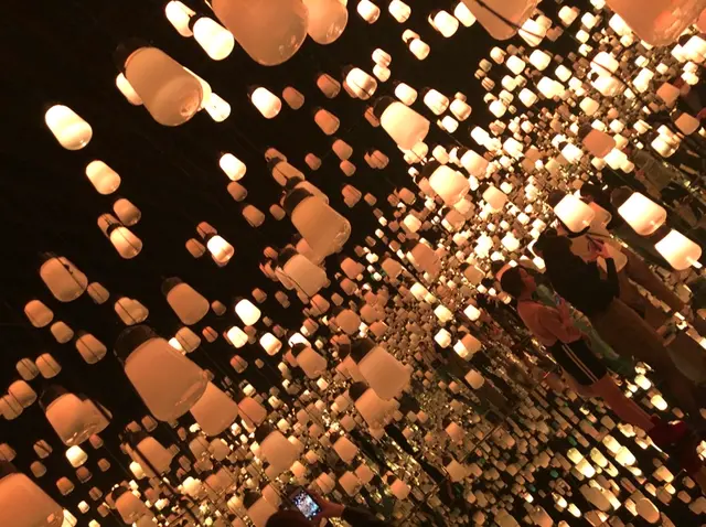 【閉業】森ビルデジタルアートミュージアム：エプソン チームラボボーダレス（MORI Building Digital Art Museum: EPSON teamLab Borderless）