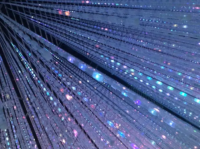 【閉業】森ビルデジタルアートミュージアム：エプソン チームラボボーダレス（MORI Building Digital Art Museum: EPSON teamLab Borderless）