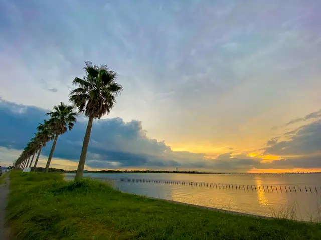 千葉フォルニア