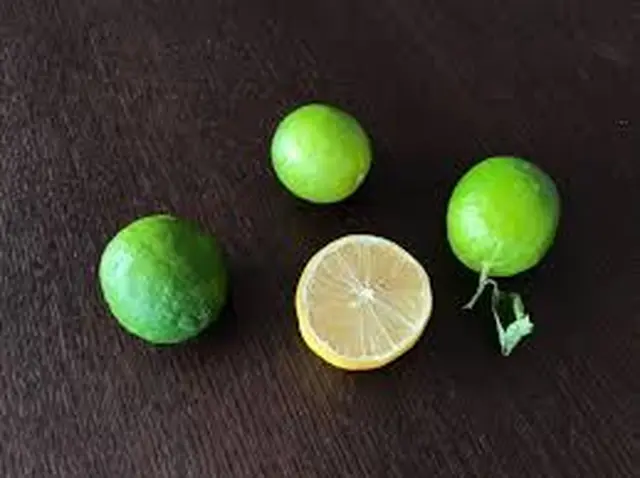 【閉業】ビーアンドディー（B&D）吉祥寺店