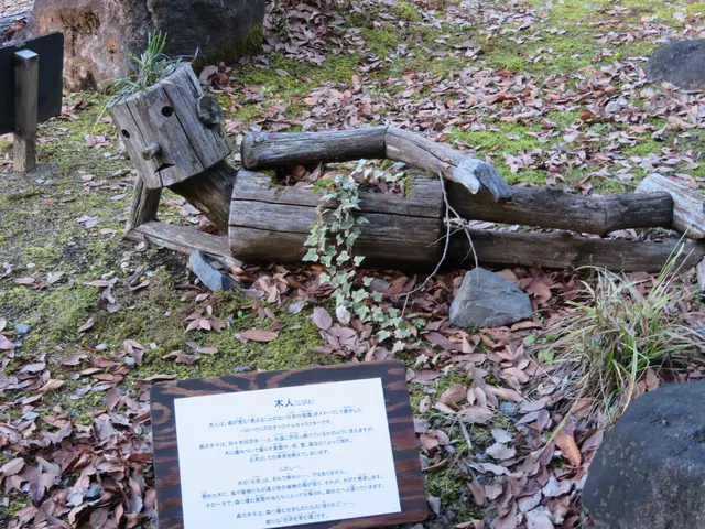 ツインリンク もてぎ