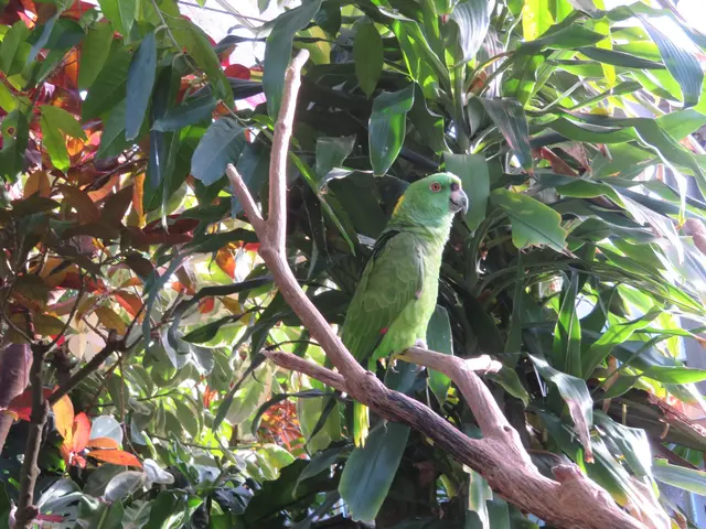 アロハガーデンたてやま