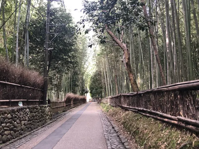 嵐山 竹林の小径