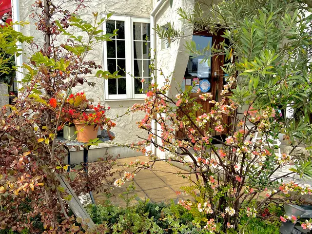 ごちそうカフェ うかたま