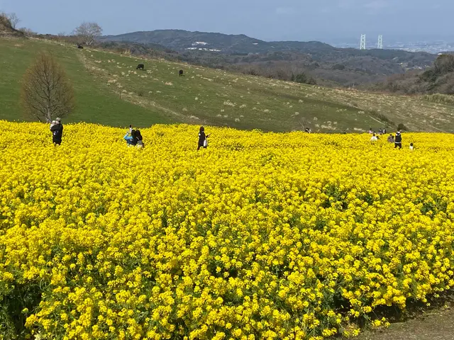 あわじ花さじき