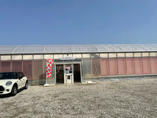 Strawberry Port Ichigonomi