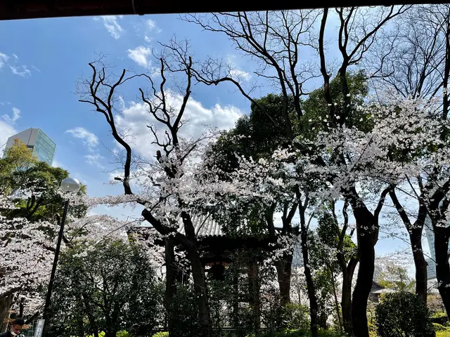 TERA CAFE SHIEN ZOJOJI