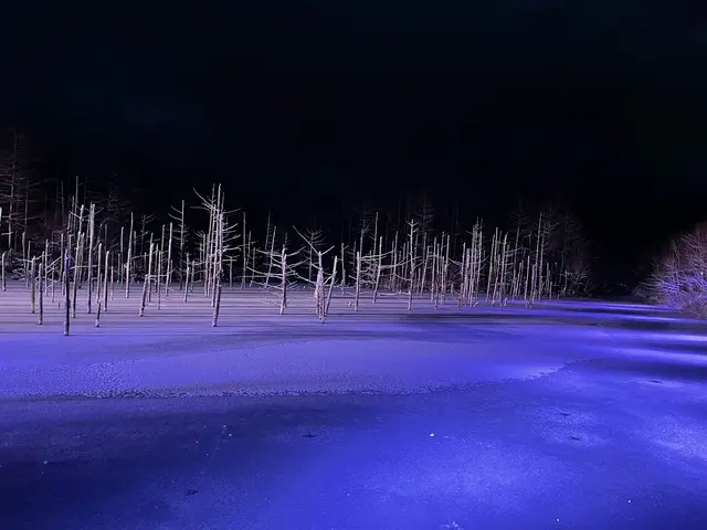 白金青い池