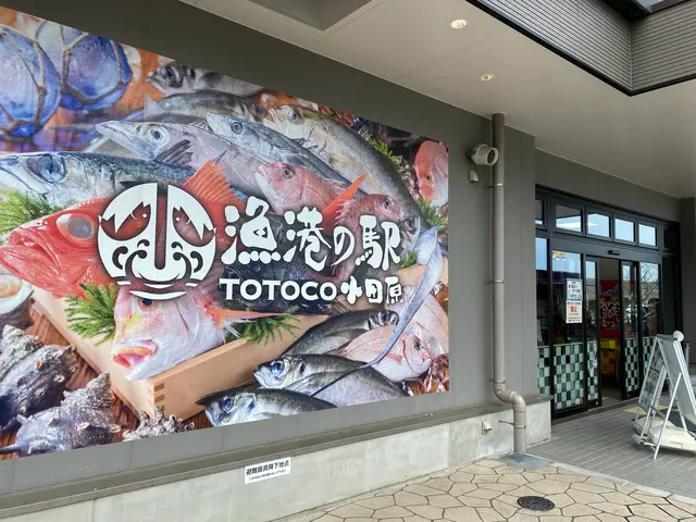 漁港の駅 TOTOCO小田原