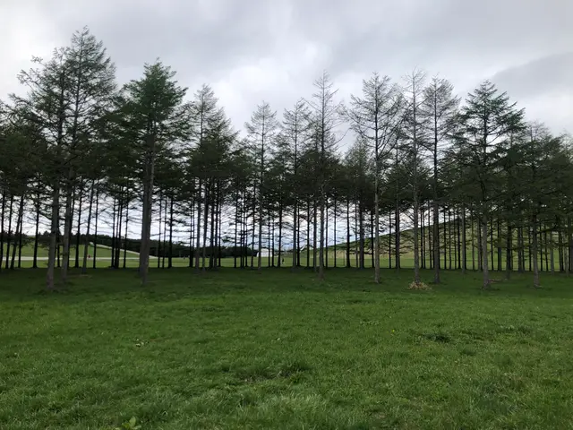 モエレ沼公園
