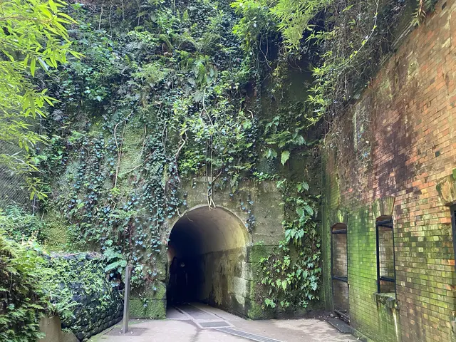 猿島