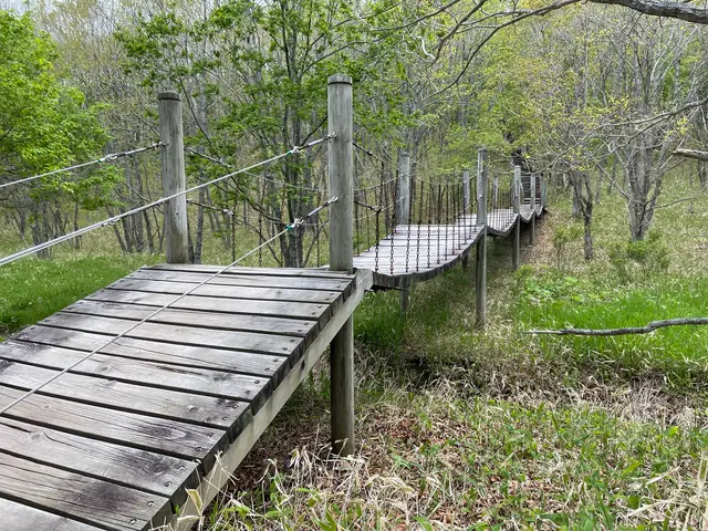 釧路湿原　吊り橋