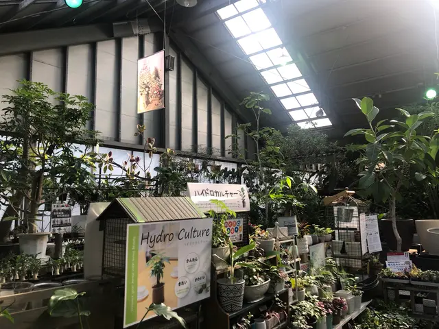 ザ・ガーデン＆ぺットエコ 本店 ヨネヤマプランテイション