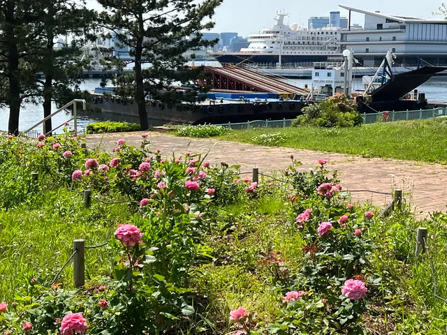 青海南ふ頭公園