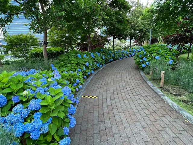シンボルプロムナード公園 センタープロムナード