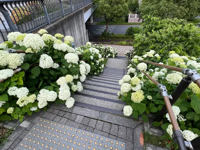 シンボルプロムナード公園 センタープロムナード