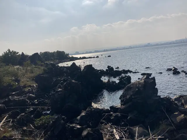桜島溶岩なぎさ公園＆足湯