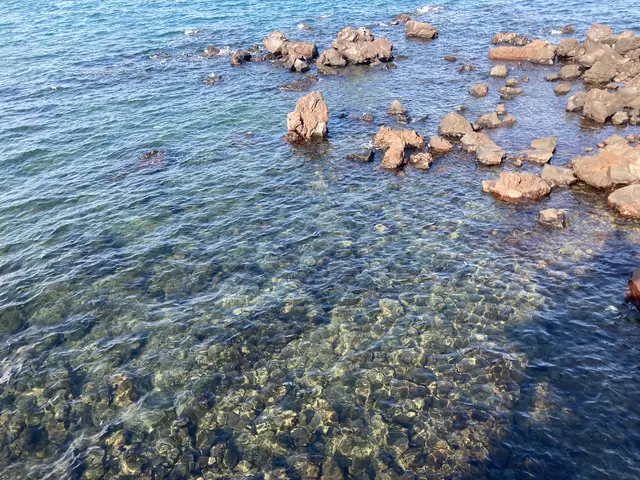 桜島溶岩なぎさ公園＆足湯